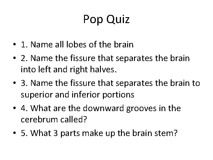 Pop Quiz • 1. Name all lobes of the brain • 2. Name the