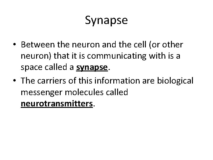 Synapse • Between the neuron and the cell (or other neuron) that it is