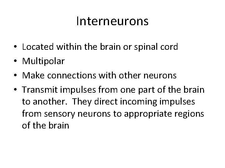 Interneurons • • Located within the brain or spinal cord Multipolar Make connections with