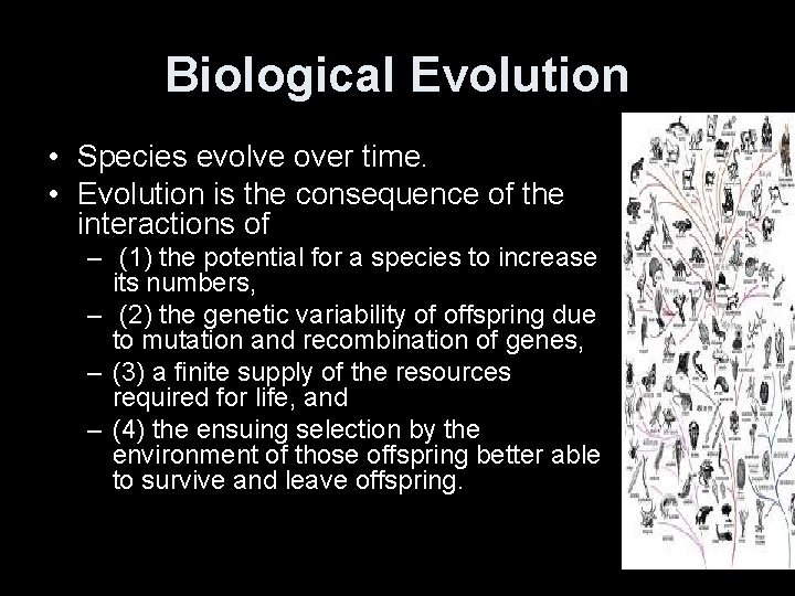 Biological Evolution • Species evolve over time. • Evolution is the consequence of the