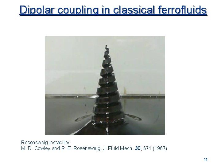 Dipolar coupling in classical ferrofluids Rosensweig instability M. D. Cowley and R. E. Rosensweig,