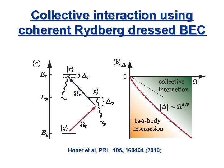 Collective interaction using coherent Rydberg dressed BEC Honer et al, PRL 105, 160404 (2010)