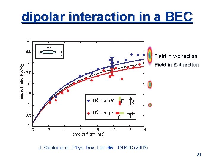 dipolar interaction in a BEC Field in y-direction Field in Z-direction J. Stuhler et