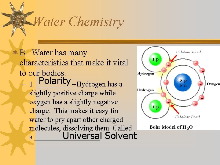 II. Water Chemistry ¬ B. Water has many characteristics that make it vital to