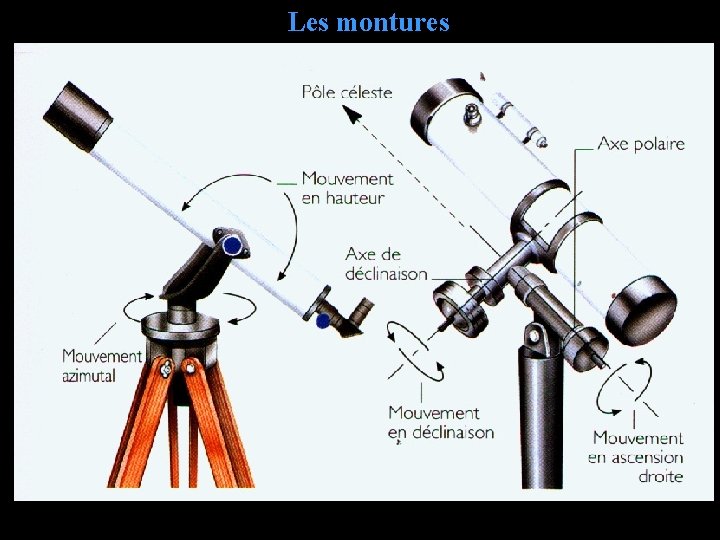 Les montures 