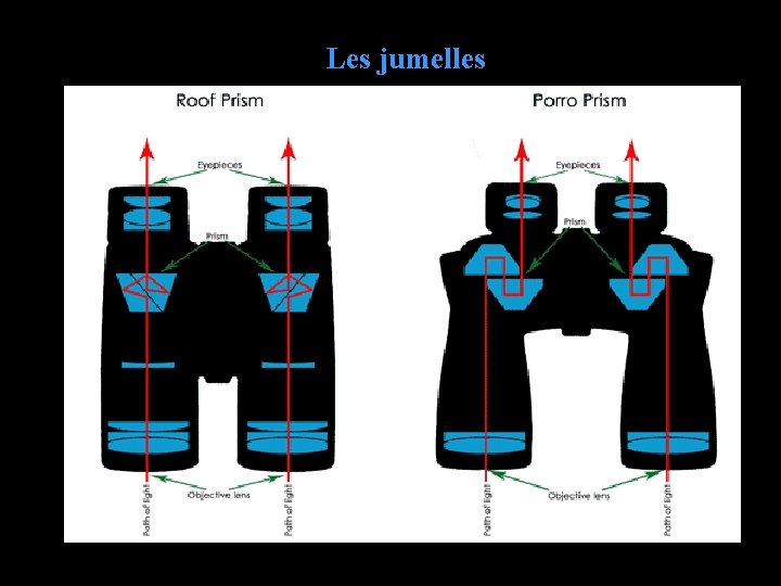 Les jumelles 