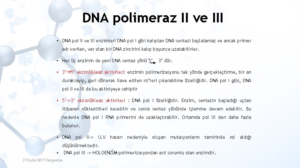 DNA polimeraz II ve III • DNA pol II ve III enzimleri DNA pol