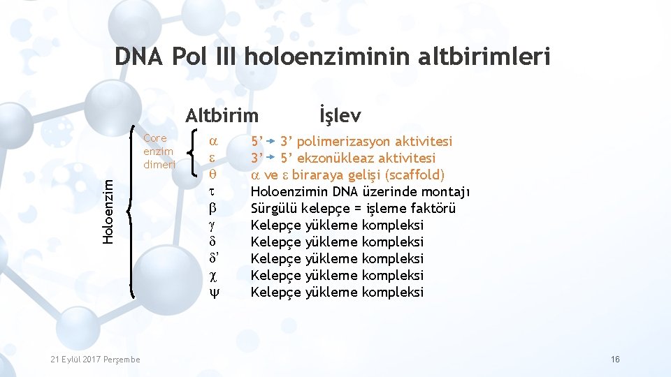 DNA Pol III holoenziminin altbirimleri Altbirim Holoenzim Core enzim dimeri 21 Eylül 2017 Perşembe