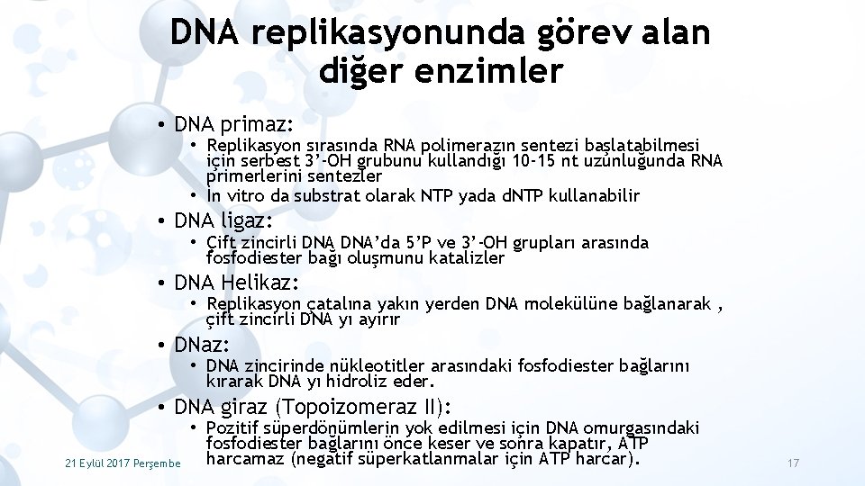 DNA replikasyonunda görev alan diğer enzimler • DNA primaz: • Replikasyon sırasında RNA polimerazın