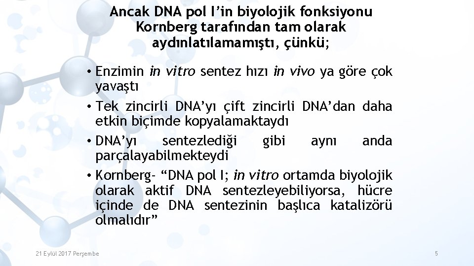 Ancak DNA pol I’in biyolojik fonksiyonu Kornberg tarafından tam olarak aydınlatılamamıştı, çünkü; • Enzimin