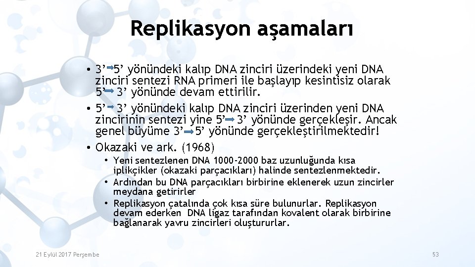 Replikasyon aşamaları • 3’ 5’ yönündeki kalıp DNA zinciri üzerindeki yeni DNA zinciri sentezi