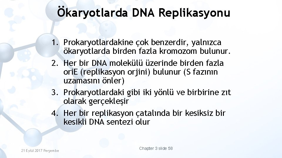 Ökaryotlarda DNA Replikasyonu 1. Prokaryotlardakine çok benzerdir, yalnızca ökaryotlarda birden fazla kromozom bulunur. 2.