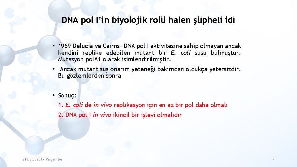 DNA pol I’in biyolojik rolü halen şüpheli idi • 1969 Delucia ve Cairns- DNA