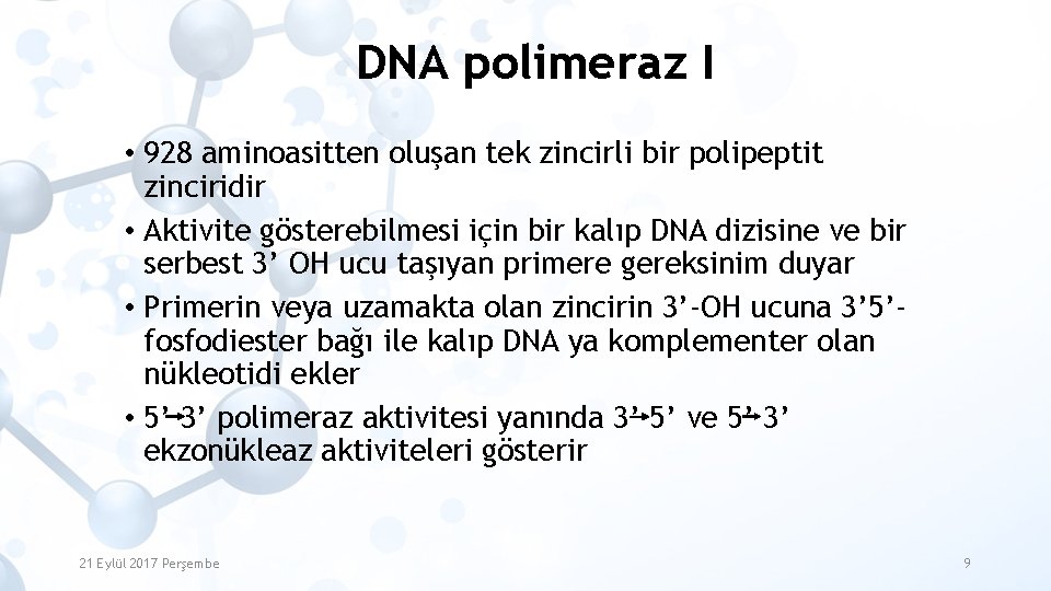 DNA polimeraz I • 928 aminoasitten oluşan tek zincirli bir polipeptit zinciridir • Aktivite