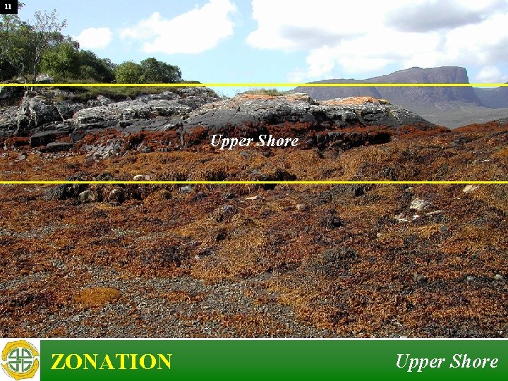 11 Upper Shore ZONATION Upper Shore 11 Upper Shore ZONATION Upper Shore