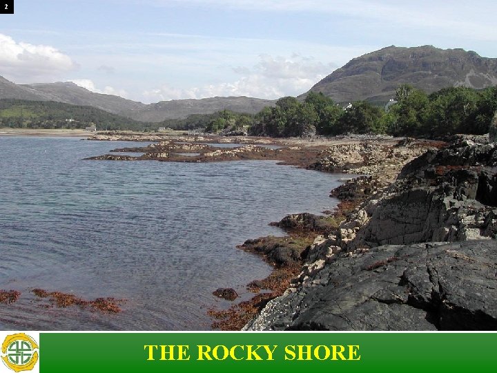 2 THE ROCKY SHORE 2 THE ROCKY SHORE