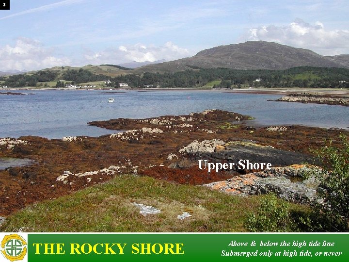 3 Upper Shore THE ROCKY SHORE Above & below the high tide line Submerged 3 Upper Shore THE ROCKY SHORE Above & below the high tide line Submerged