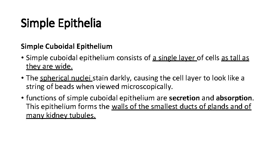 Simple Epithelia Simple Cuboidal Epithelium • Simple cuboidal epithelium consists of a single layer Simple Epithelia Simple Cuboidal Epithelium • Simple cuboidal epithelium consists of a single layer