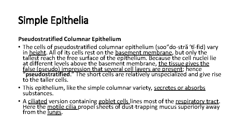 Simple Epithelia Pseudostratified Columnar Epithelium • The cells of pseudostratified columnar epithelium (soo″do-stră ′tĭ-fīd) Simple Epithelia Pseudostratified Columnar Epithelium • The cells of pseudostratified columnar epithelium (soo″do-stră ′tĭ-fīd)