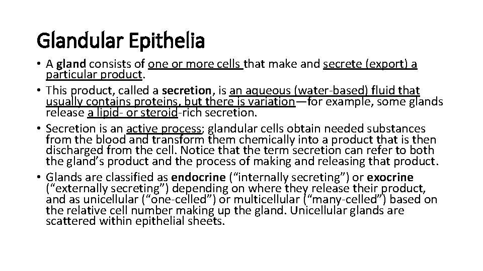 Glandular Epithelia • A gland consists of one or more cells that make and Glandular Epithelia • A gland consists of one or more cells that make and