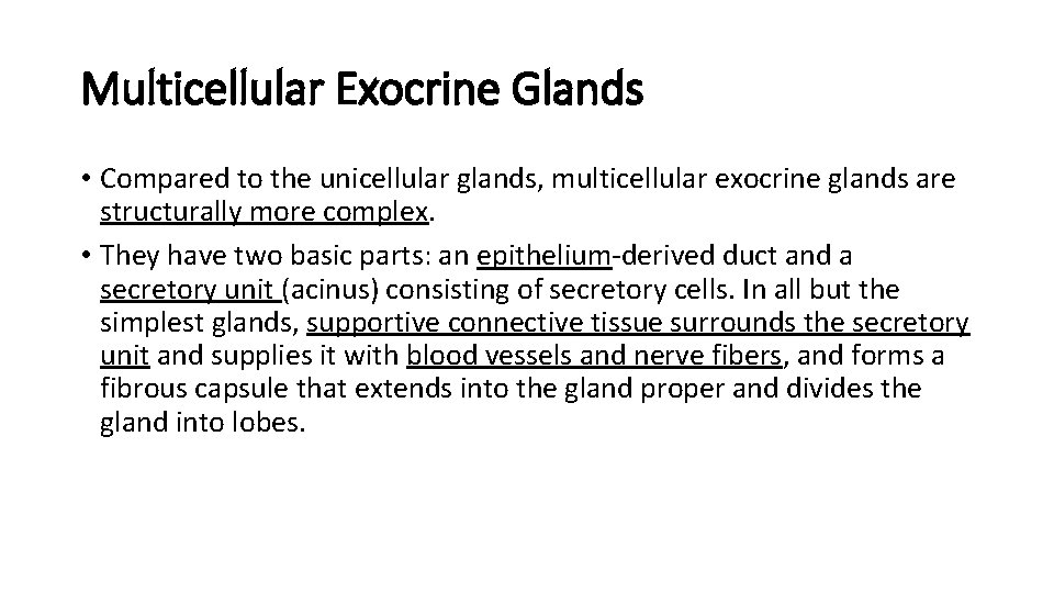 Multicellular Exocrine Glands • Compared to the unicellular glands, multicellular exocrine glands are structurally Multicellular Exocrine Glands • Compared to the unicellular glands, multicellular exocrine glands are structurally