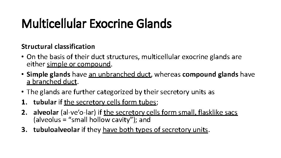 Multicellular Exocrine Glands Structural classification • On the basis of their duct structures, multicellular Multicellular Exocrine Glands Structural classification • On the basis of their duct structures, multicellular