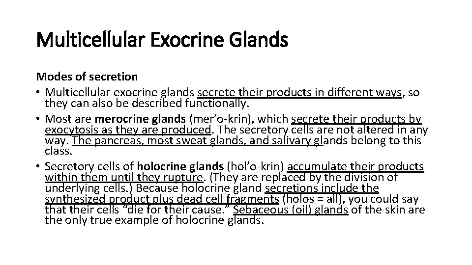Multicellular Exocrine Glands Modes of secretion • Multicellular exocrine glands secrete their products in Multicellular Exocrine Glands Modes of secretion • Multicellular exocrine glands secrete their products in