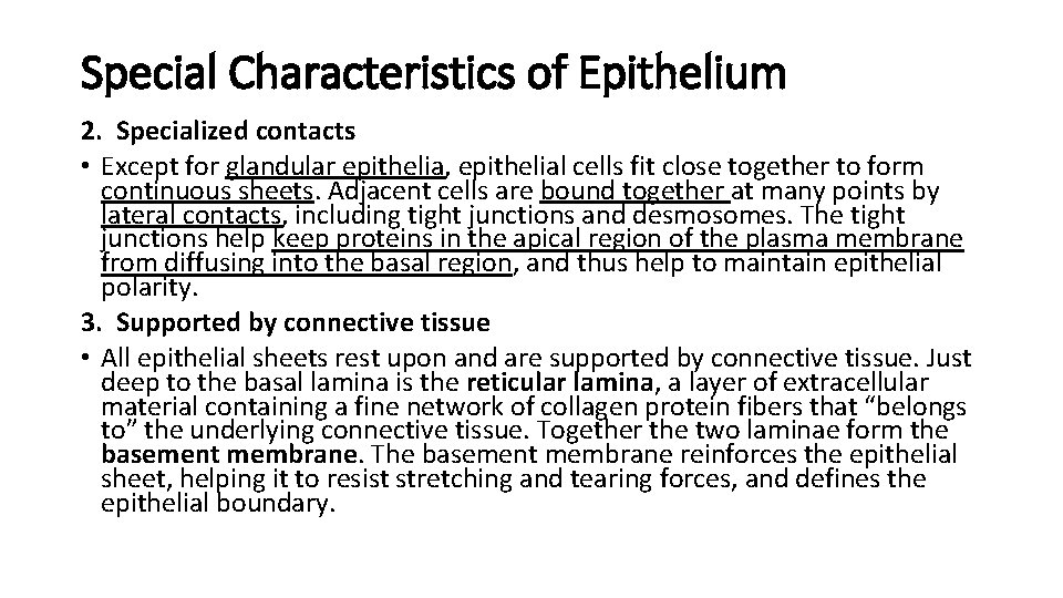 Special Characteristics of Epithelium 2. Specialized contacts • Except for glandular epithelia, epithelial cells Special Characteristics of Epithelium 2. Specialized contacts • Except for glandular epithelia, epithelial cells
