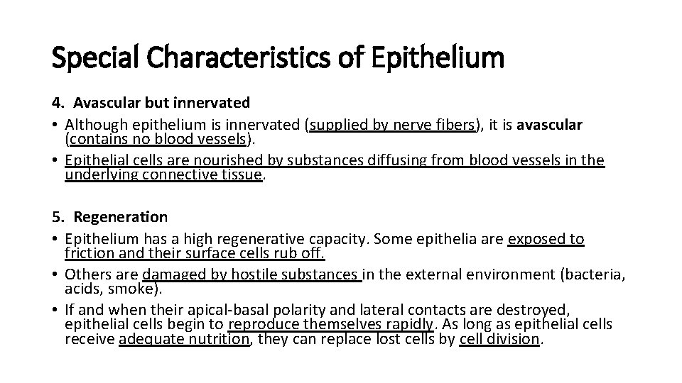 Special Characteristics of Epithelium 4. Avascular but innervated • Although epithelium is innervated (supplied Special Characteristics of Epithelium 4. Avascular but innervated • Although epithelium is innervated (supplied