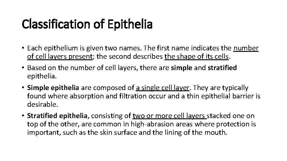 Classification of Epithelia • Each epithelium is given two names. The first name indicates Classification of Epithelia • Each epithelium is given two names. The first name indicates