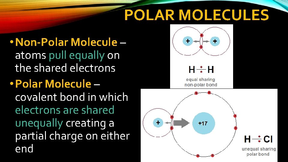 POLAR MOLECULES • Non-Polar Molecule – atoms pull equally on the shared electrons •