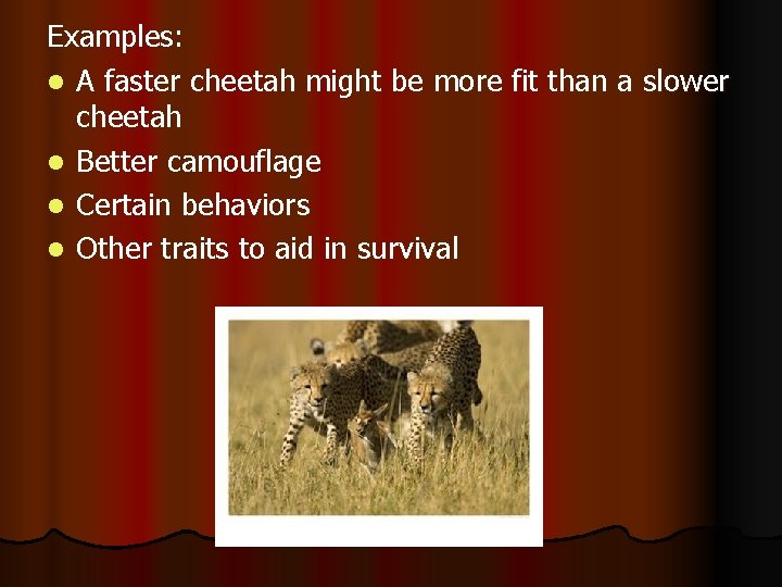 Examples: l A faster cheetah might be more fit than a slower cheetah l