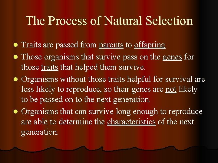 The Process of Natural Selection Traits are passed from parents to offspring l Those