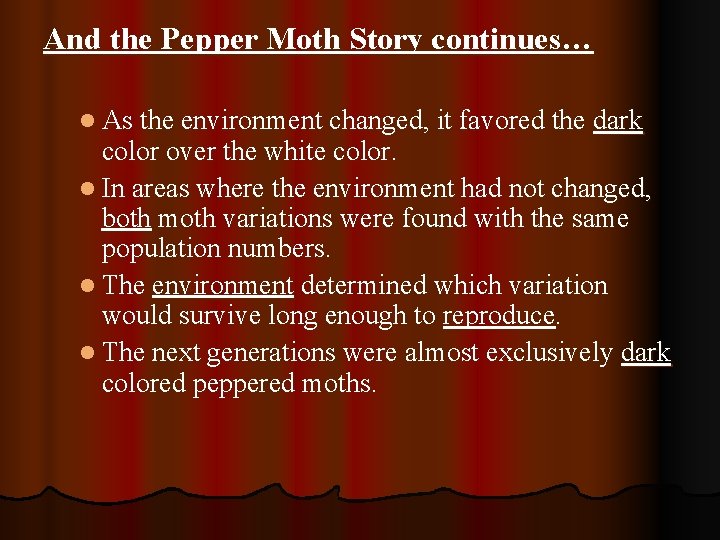 And the Pepper Moth Story continues… l As the environment changed, it favored the