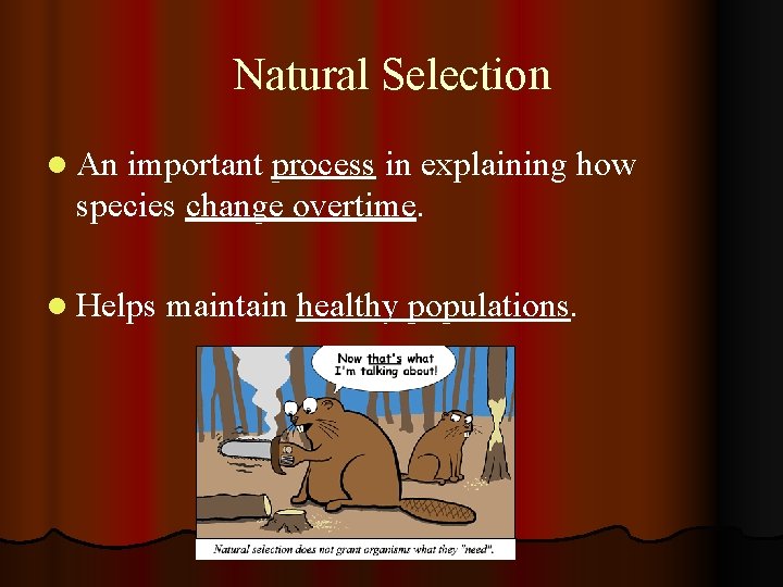 Natural Selection l An important process in explaining how species change overtime. l Helps