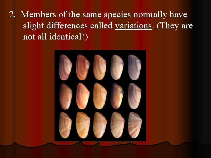 2. Members of the same species normally have slight differences called variations. (They are