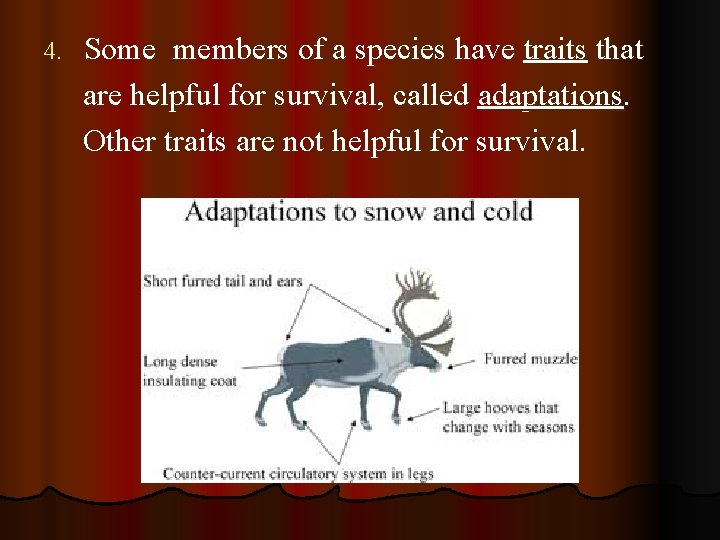 4. Some members of a species have traits that are helpful for survival, called