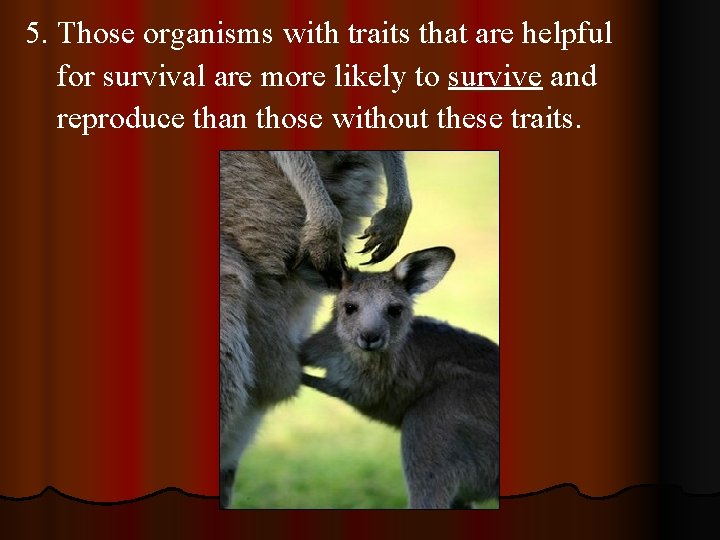 5. Those organisms with traits that are helpful for survival are more likely to