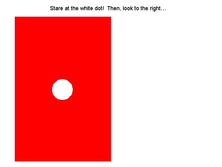 Stare at the white dot! Then, look to the right… 