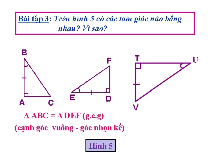 Bài tập 3: Trên hình 5 có các tam giác nào bằng nhau? Vì