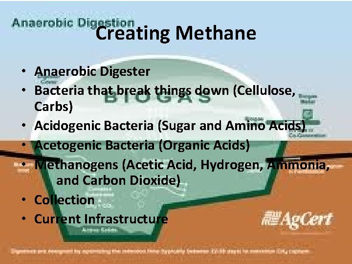 Creating Methane • Anaerobic Digester • Bacteria that break things down (Cellulose, Carbs) •