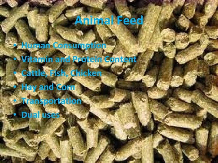 Animal Feed • • • Human Consumption Vitamin and Protein Content Cattle, Fish, Chicken