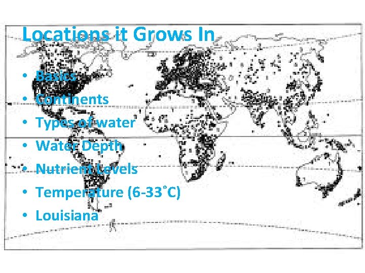 Locations it Grows In • • Basics Continents Types of water Water Depth Nutrient
