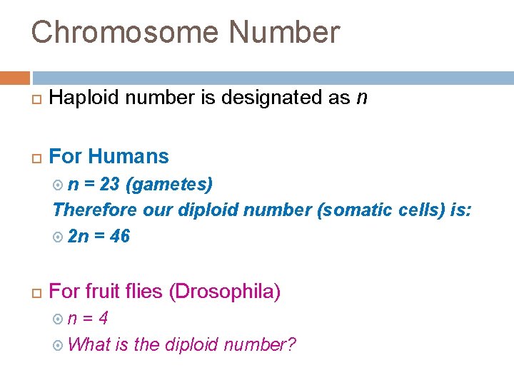 Chromosome Number Haploid number is designated as n For Humans n = 23 (gametes)