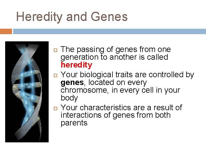 Heredity and Genes The passing of genes from one generation to another is called