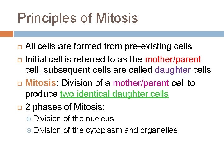 Principles of Mitosis All cells are formed from pre-existing cells Initial cell is referred