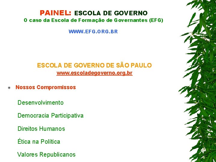 PAINEL: ESCOLA DE GOVERNO O caso da Escola de Formação de Governantes (EFG) WWW.