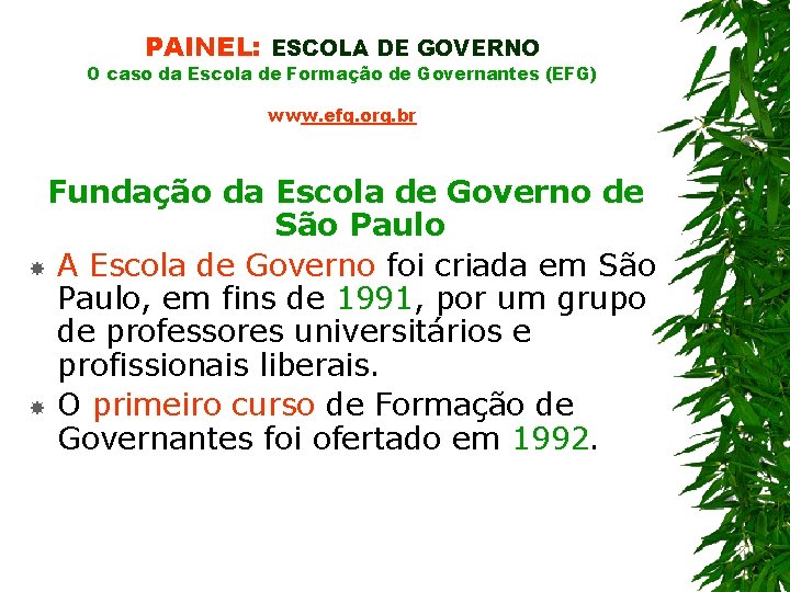 PAINEL: ESCOLA DE GOVERNO O caso da Escola de Formação de Governantes (EFG) www.