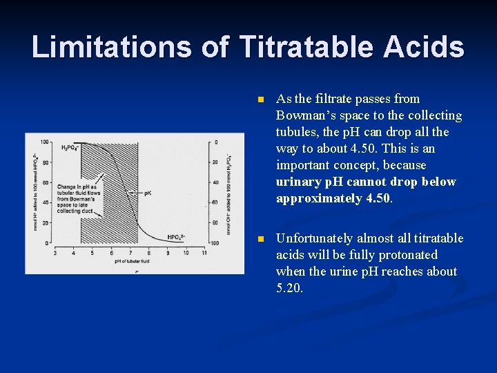 Limitations of Titratable Acids n As the filtrate passes from Bowman’s space to the