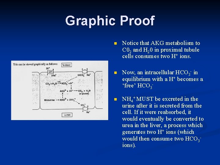 Graphic Proof n Notice that AKG metabolism to C 02 and H 20 in